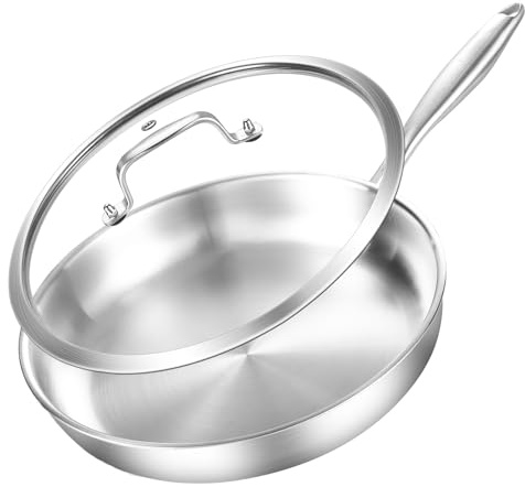 DELARLO Stainless Steel Pan 10.3Inch, Triply Stainless Steel Frying Pan with Lid, Heavy Duty, Compatible with Induction, Gas and Electric up to 600℉, Fast & Even Heating, Dishwasher, Oven Safe Skillet