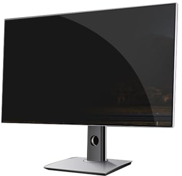 POENVFPO Privatsphäre Blue Light Blocking Filter für 13,3-27 Zoll Computerlaptop, Reduzieren Sie die Augendehnung für Büroangestellte, 1 Bildschirmschutz (24in-16-10)