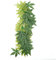 Reptiles Artificial Vine Plastic Fake Hanging Leaves Green Simulation Plant Reptile Terrarium Habitat Decor Aquarium Fish Tank Ornament with a Sucker(50cm)