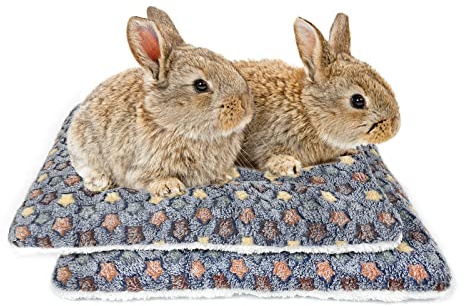 Amakunft 2 Stück Quadratisches Plüschkissen für Meerschweinchen, gemütliche Hamster, Zuckergleiter, Igel, Schlafbett, Kaninchenkäfig-Zubehör Matte (Sterne, groß)