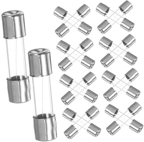 Abaodam 100 Stück Sicherungsrohr Glassicherung durchbrennen flinke Glassicherung auto sicherungssatz Glasrohrsicherung Sicherungssatz Automobil Sicherung Glasrohr Edelstahl Transparent