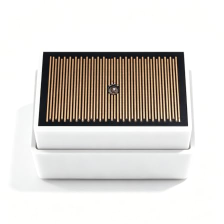 Sensor de lluvia ZIGBEE para Tuya Smart Home, detector de fugas de agua impermeable IPX4 para exteriores con alertas en tiempo real, riego automático y sistema de control de luz, blanco