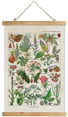 XIAOAIKA Vintage Pflanzen Poster mit Holzrahmen, Retro Stil Wanddekoration Kunst Malerei, Muster gedruckt auf Leinen ohne Verblassen, fertig zum Aufhängen (50 x 75 cm)