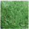 Kunstrasenrolle Rollrasen Rasen 20 mm (2_X_2_Meter)