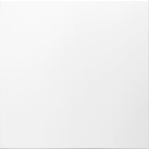 DECCART 3D Wandpaneele Weiß 50x50 cm 20 Stück | 5 m², Paneele Wand Wall Panels Deko Wandverkleidung Innen Panel Deckenverkleidung Decke Deckenpaneele Platten EPS