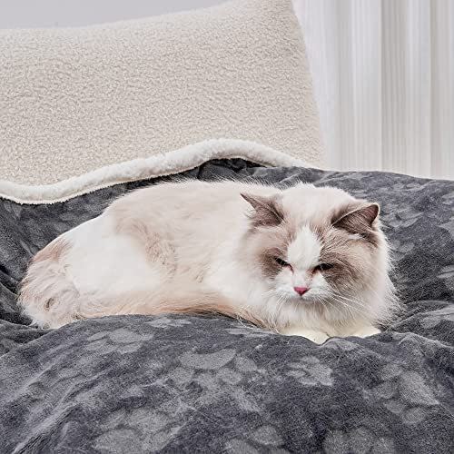 Qeils Haustierdecken für Katzen – wasserdichte Katzendecke waschbar – Sherpa-Fleece-Welpendecke, weicher Plüsch, wendbarer Überwurfschutz für Bett, Couch, Auto, Sofa, 63,5 x 76,2 cm, Dunkelgrau