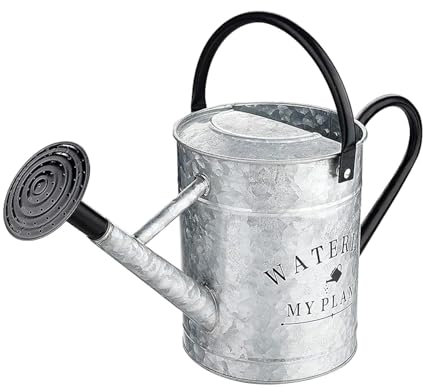 Colcolo Arrosoir 4 L de Jardin en Métal, Arrosoir en Métal avec Poignée pour Plantes D'intérieur et D'extérieur, Bidon d'eau avec Bec Amovible pour Pelouse, Ferme, Cour