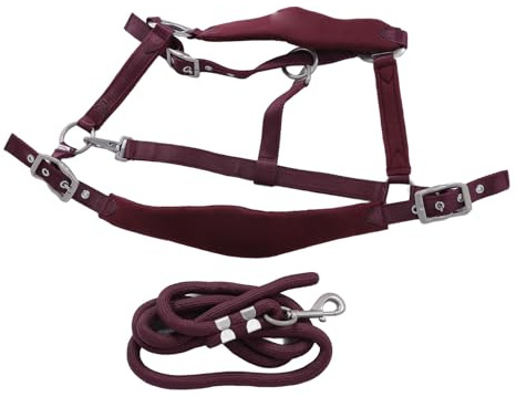 ZAWELIYO Set di Cavi di Cavallo, Cave di Allenamento Antifrequente Regolabile con Corda di Piombo da 2 M, Poliestere Morbido (M 25x25x10.5cm / 9.8x9.8x4.1in)