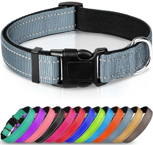 Joytale Halsband Hund, Gepolstertes Hundehalsband Breit aus Neopren Nylon Hundehalsband Verstellbar für Mittelgroße Hunde, Weich und Reflektierend Hundehalsbänder, M, Grau