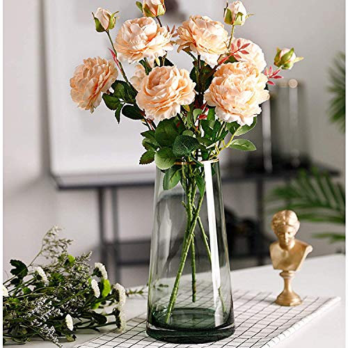 Glasvase, Ins Style handgemachte kristallklare Blumenvase Gold Linie Mund dekorative Vase Blumenblume Pflanzenbehälter für Home Office Dekor, Geschenk für Hochzeit Weihnachten Einweihungsparty