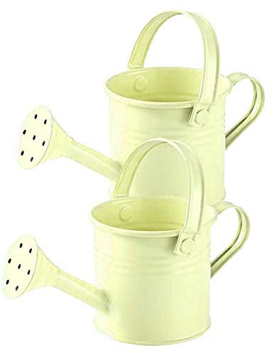 DEDEMCO 2 x Metall-Gießkanne, Mini-Taschen-Sprinkler mit Griff, Garten-Eisen-Eimer, Bewässerungssprinkler für Garten, Garde, Zuhause, Pflanzen, Blumen.