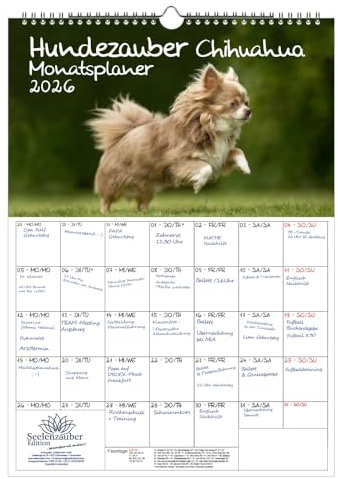 Hundezauber Chihuahua Planer DIN A3 Kalender für 2026 Welpen und Hunde - Set-Inhalt: 1x Kalender 1x Weihnachtsanhänger 1x Grußanhänger (gesamt 3 Teile)
