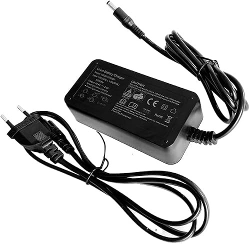 Enerpower Li-Ion Ladegerät 29,4V 2A 5521 für Phylion Akku 24V XH259-10J. Ersetzt Original SSLC058V29X wie bspw. Batavus, Sparta (CB, GS)