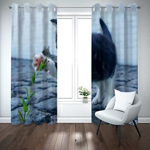 PVMLVM Tende Oscuranti Cameretta Bambini Moderne Animale Gatto Bianco E Nero 3D Stampa Tenda Isolante Per Interni Soggiorno Camera Da Letto Bagno Balcone Finestra 2 Pannelli Con Occhielli 140x160cm