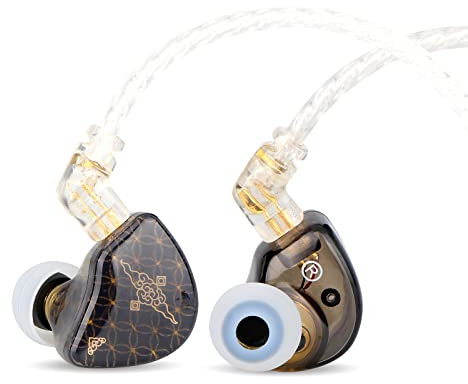 Linsoul TANGZU WAN’er S.G HiFi 10mm Dynamic Driver Pet Diaphragm in-Ear Earphone with Ergonomic Shape, Detachable 2Pin OFC Braided Cable for Audiophile Musician DJ Stage (3.5mm, Wan'er S.G, Black)
