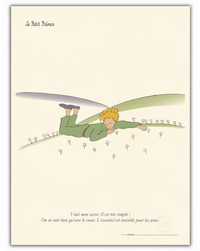 Oneart Kunstdruck-Poster (Der kleine Prinz und im Garten) – 50 x 70 cm