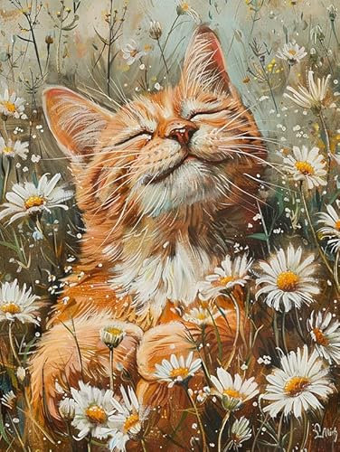 Bimkole 5D Diamond Painting DIY Kits Chat Orange, Marguerite, Animal Broderie Diamant Kits De Broderie Au Point De Croix Strass Rond Résine Peinture Décor à La Maison 30x40cm