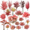 NA Woohome 20 Stück Künstliche Sukkulenten Rot Unfotted Faux Blume Sukkulenten Sukkulenten Künstlich Gemischt für Zuhause Indoor Fairy Garden Dekorationen