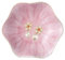 CavspkArt Plateau à bijoux décoratif en céramique, petit plat à bijoux, plateau à clés, plateau à bijoux, assiette à bijoux, bol à clés, plat à bijoux en céramique cadeau pour femmes et filles (rose)
