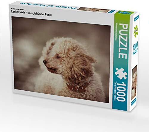 CALVENDO Puzzle EIN Motiv aus dem Kalender Lockenwölfe - Energiebündel Pudel 1000 Teile Puzzle quer | Lege-Größe cm Foto-Puzzle für glückliche Stunden
