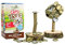 CapsTree // Mensgift // Deggelbam // CapsRack // Arbre à couvercle // Drinking Game // Capsules // Beer