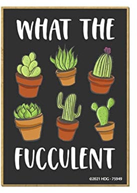 Honey Dew Gifts, What The Fucculent, 2.5 inch by 3.5 inch, Locker Decoration, Refrigerator Magnets, Fridge Magnets, Succulent Gifts for Cactus Lover, Cactus Mom, 75949