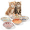 6Pcs Cat Food Bowls, 5.5 Inches Ceramic Cat Dish, Wide Shallow Cat Feeding Bowls, Pet Water or Food Feeding Bowls for Indoor Cats, Kitten, Puppies and Small Dogs, Dishwasher Safe 8.5 oz