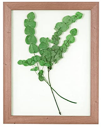 Rahmendesign24 Cadre photo double verre Rio 15 x 21 cm (DIN A5) Chêne naturel Cadre photo amovible Double verre