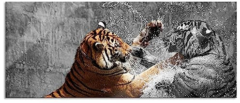 Pixxprint Glasbild Panorama, Wandbild aus Echtglas, prachtvolle Tiger kämpfen, 120x50 cm, inkl. Aufhängung und Abstandshalter