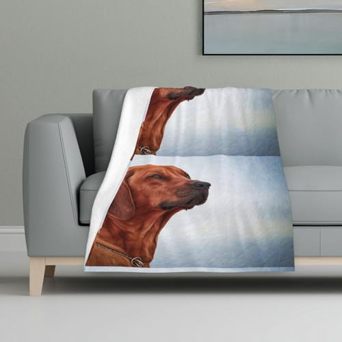 Hund Rhodesian Ridgeback,Decke, warme Anti-Pilling-Flanell-Plüsch-Überwurfdecke, 81 x 122 cm