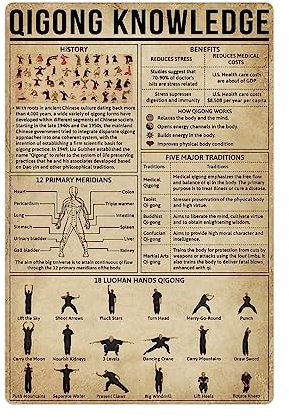 Qigong Wissen Alte Blechschilder Metallschild, Bar Pub Club Wandbild Mann Höhle Dekor Kunst Wand Metallschild 12x16 Zoll