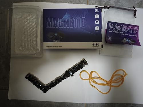 Axinost 24 magnetische Steine,Magnetisches Schachspiel,Tragbares Magnetspiel,Puzzle Checkers Spiel-Reisen Schach Magnetisch,Tischplatte Magnet Spiel Spielzeug,Anwendbar auf Partyspiele mit der Familie