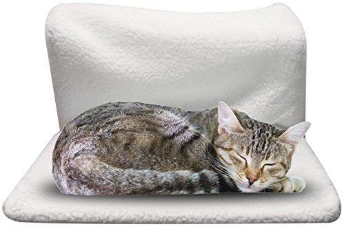 ASAB 2 x Collapsible Cat Radiator Bed | Luxury Sleeping Hammock for Pet | Warm Fleece Hanging Lounger for Kittens and Small Dogs