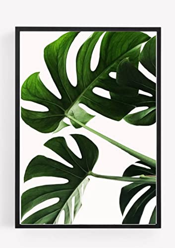Monstera Cheese Plant Botanical green Print Picture Poster Gift A4 UNFRAMED wall art Home decor Decorating
