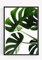 Monstera Cheese Plant Botanical green Print Picture Poster Gift A4 UNFRAMED wall art Home decor Decorating