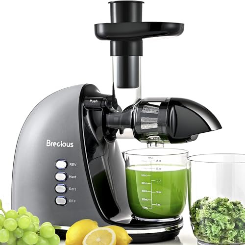 BRECIOUS ZM1506 Masticating Juicer, Silver