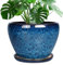 Ceramicfor 25,4 cm Keramik-Pflanzgefäß, Keramik-Pflanztopf für Innen- und Außenbereich, großer Blumentopf mit Ablaufloch und Untersetzer, Blau