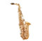 Saxophon Es Altsaxophon Instrument Anfänger Erwachsene Prüfung Leistungsniveau Saxophon
