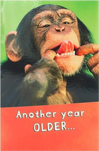 UK Greetings Birthday Card for Him/Her/Friend - Monkey Design