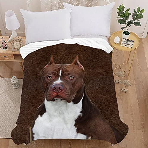 Treer Kuscheldecke Flanell Decke Überwurf - 3D Hund Druck Wohndecke Weiche Mikrofaser Fleecedecke als Sofadecke, Couchdecke, Sofaüberwurf, Bettüberwurf, Tagesdecke (150X130cm,Bully)