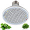 LED Plant Grow Light Bulb for Indoor Plants - 8W Full Spectrum Plant Grow Light Bulb with 200 LEDs Ideal for Home Greenhouses Seedlings and Flower Growth, E27 Base, 110-220V
