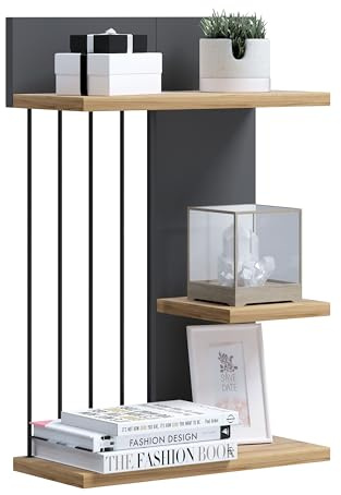VCM Modernes Hängeregal aus Holz – platzsparendes Wandregal Dolira M, 60 x 40 x 19 cm, Elegantes Aufbewahrungs- und Bücherregal für Wohnzimmer, Büro & Flur