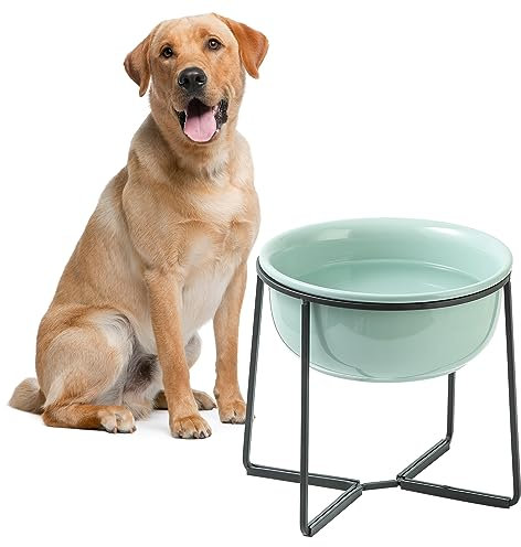 Elevated Large Dog Food Bowls - Raised Dog Bowl with Non Slip Stand - Heavy Weighted Ceramic Dog Feeding Bowl - Extra Wide Deep Dog Water Bowl - Pet Dishes for Medium to Big Dogs - 54 oz - 7 cups