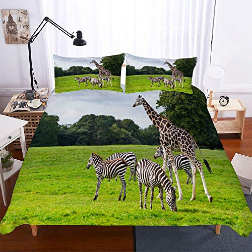 Odot 3D Bettwäsche-Set, Bettwäsche Set 100% Mikrofaser mit Reißverschluss Sparset Bettbezug mit Reißverschluss und Kopfkissenbezüge (2pcs-135x200cm,Einfach)