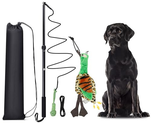 KOXXUD Reizangel Hunde, Profi Reizangel für Kleine, Mittelgroßer, Große Hunde, Martin Rütter für Ultimativen Spielspaß & Körperliche Auslastung (Seilbälle + Ente)