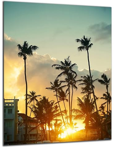 DARO Design - Wand-Bild 6mm HDF 40x30 cm Miami Sonnenuntergang - Wand-Deko Bilder Wohnzimmer