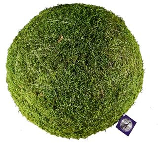 SuperMoss Blattmooskugeln, frisches Grün, 6 Stück