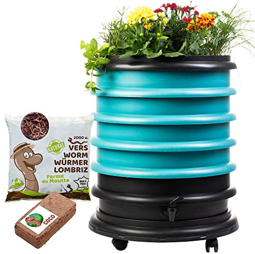 WORMbox | Wurmkomposter Wurmfarm Wurmkiste mit 4 Schalen Türkis + Pflanzgefäß + 1kg Kompostwürmer / 2000 STK + 1 Coco | 64 Liter | Regenwurmkomposter, Kompostwürmer produzieren Wurmhumus
