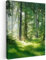 MuchoWow© Leinwände 60x80 cm Wall Decoration Bilder Schlafzimmer Deko Pictures Canvas Painting Wanddekoration Wohnzimmer Wandbilder Bild Wald - Natur - Bäume - Grün - Sonne - Gras - Pflanzen