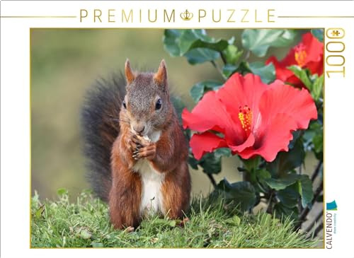 CALVENDO Puzzle Dunkelpuschel mit großer Hibiskusblüte | 1000 Teile Lege-Größe 64 x 48 cm Foto-Puzzle für glückliche Stunden